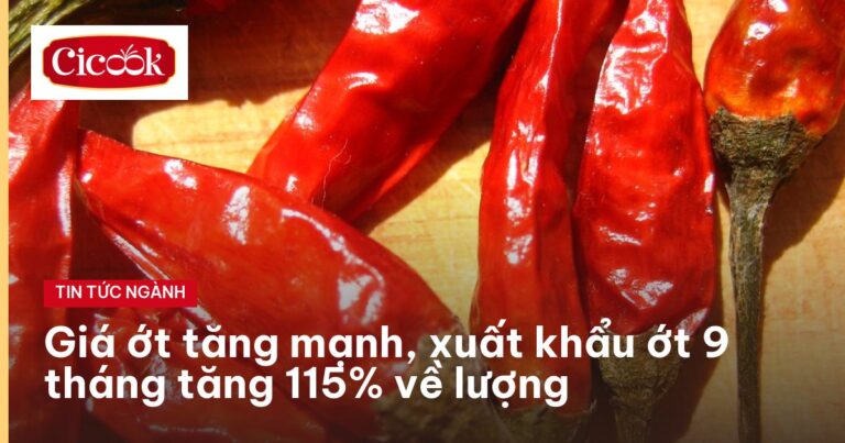 Ớt đỏ tươi xếp trên mặt gỗ